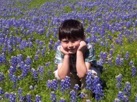 Burnet County Bluebonnets, photo by Nick Carter